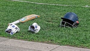 Game of cricket Investment Lessons from the Game of Cricket